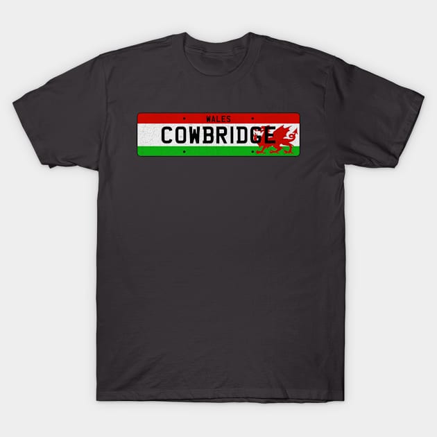 Cowbridge Wales / Cymru T-Shirt by LocationTees